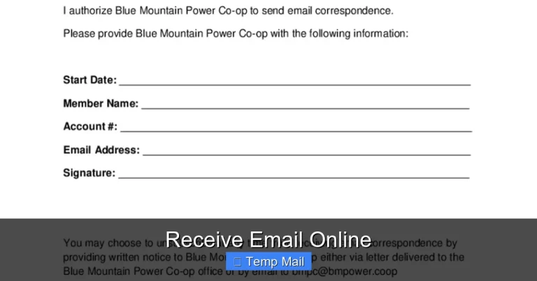 Receive Email Online